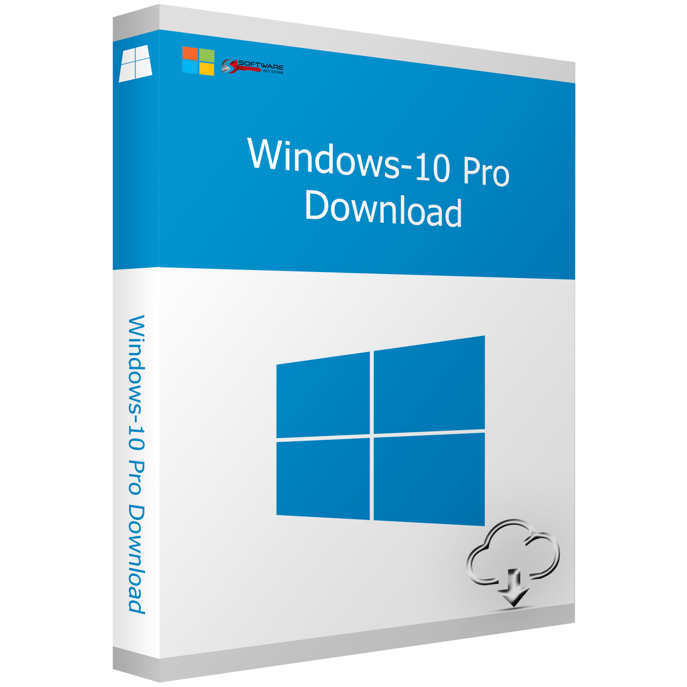 Windows 10 Professional