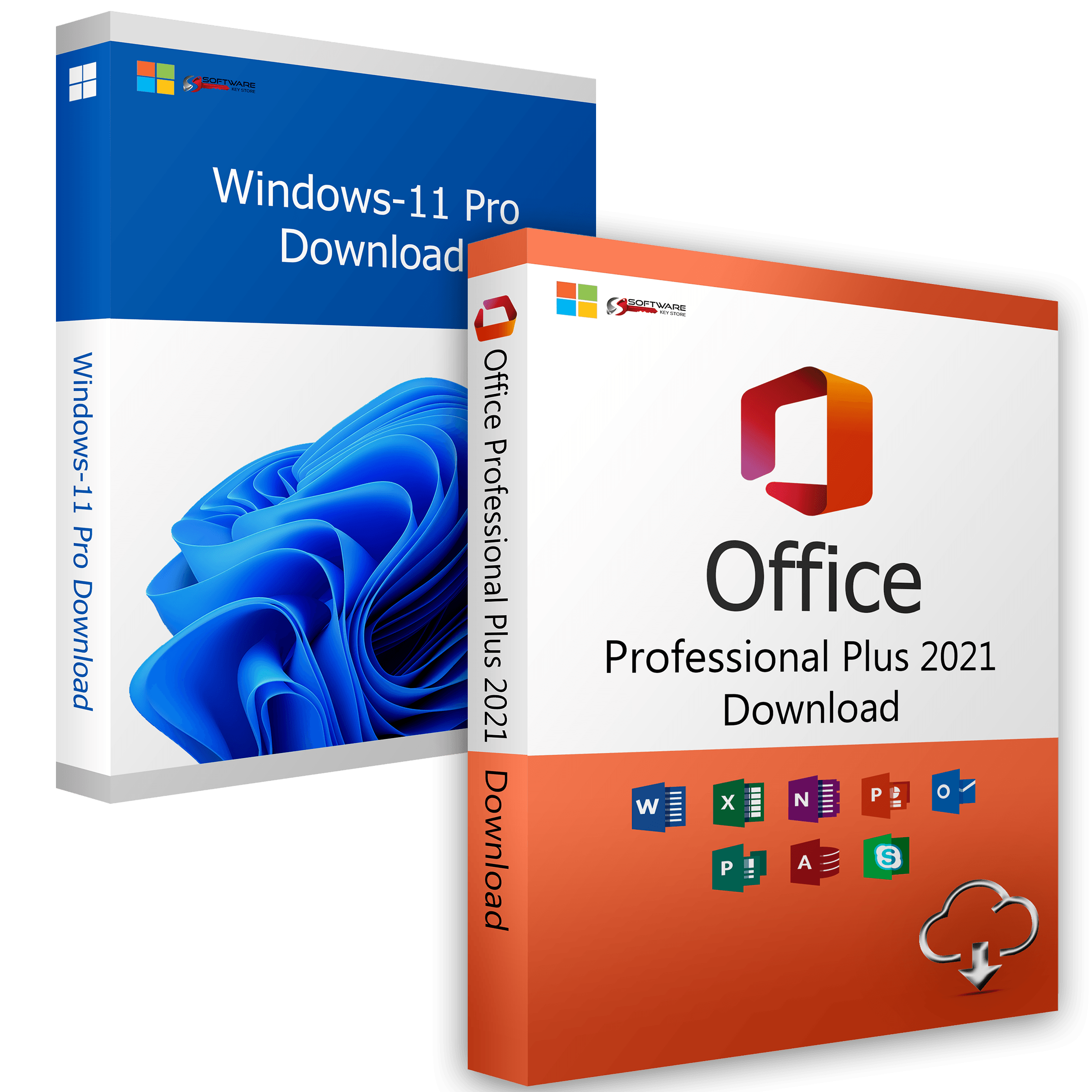 Windows 11 Professional + Office 2021 Professional
