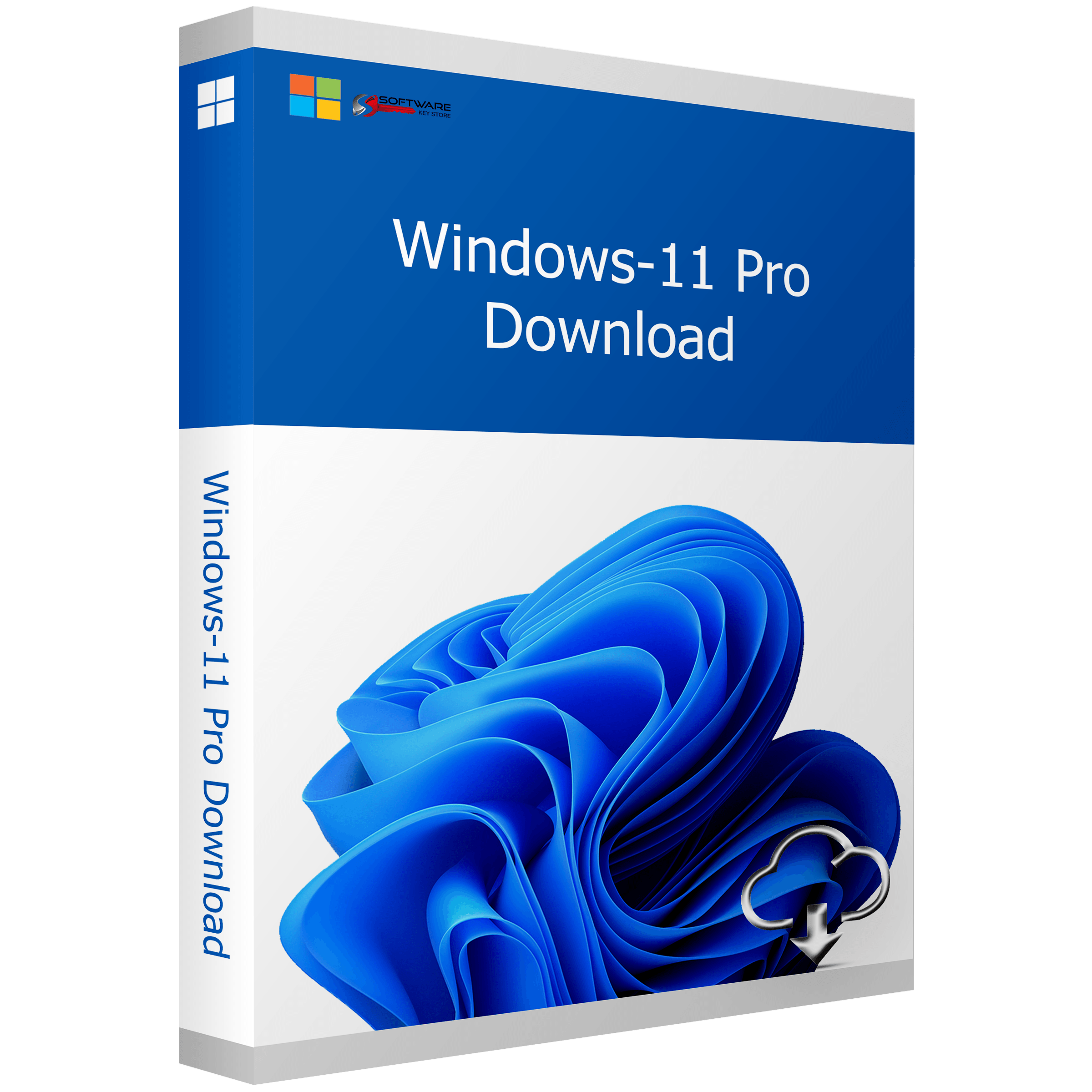 Windows 11 Professional