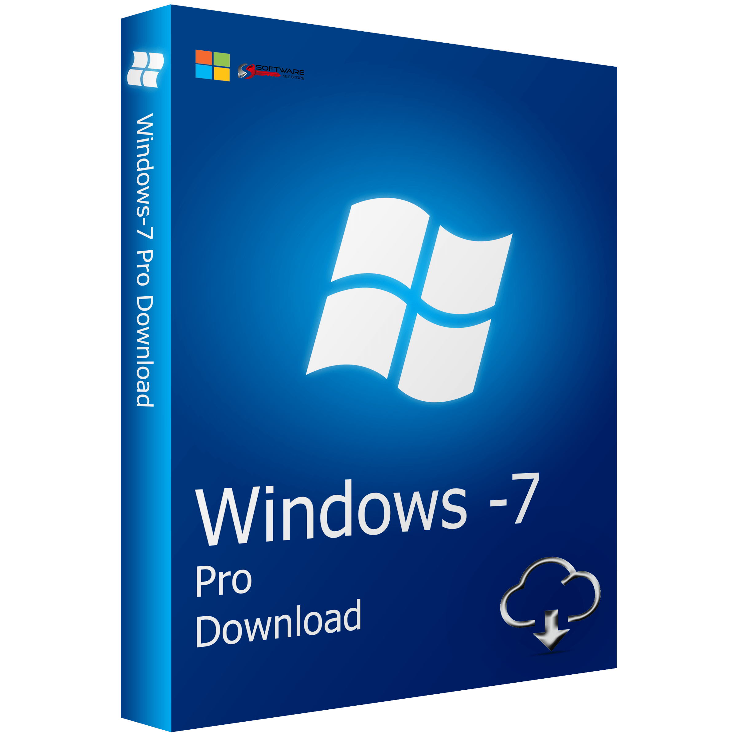 Windows 7 Professional