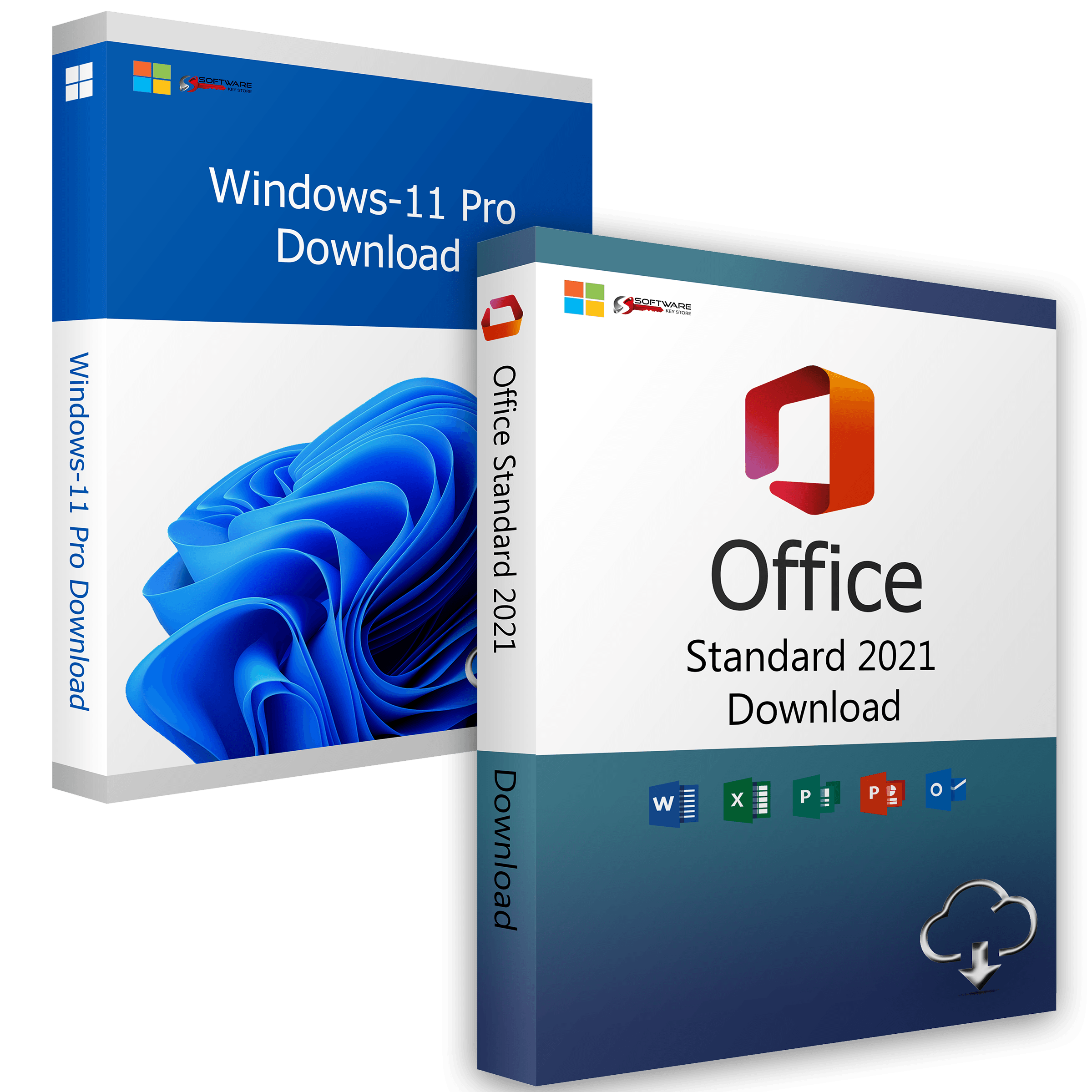 Windows 11 Professional + Office 2021 Standard