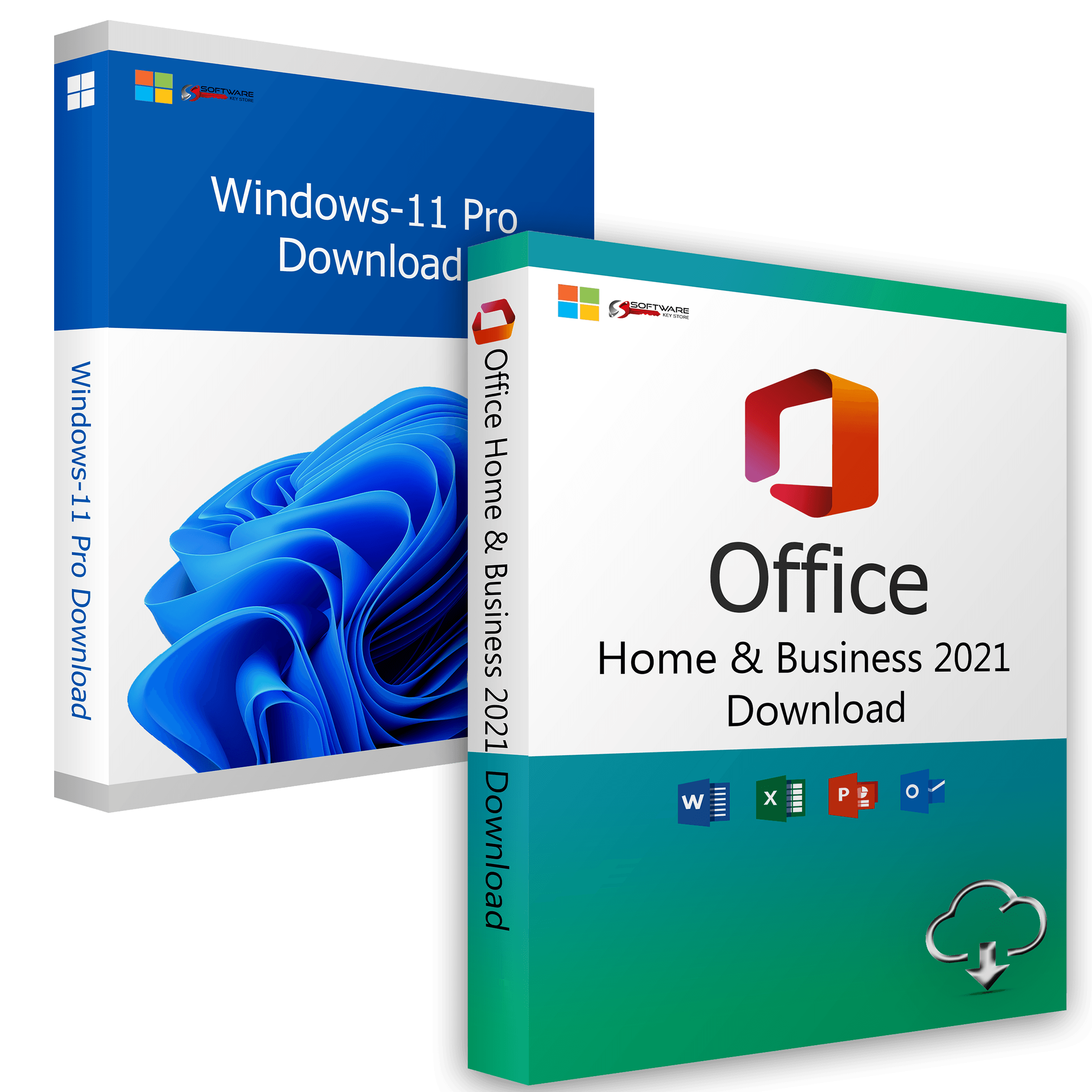 Windows 11 Professional + Office 2021 Home and Business
