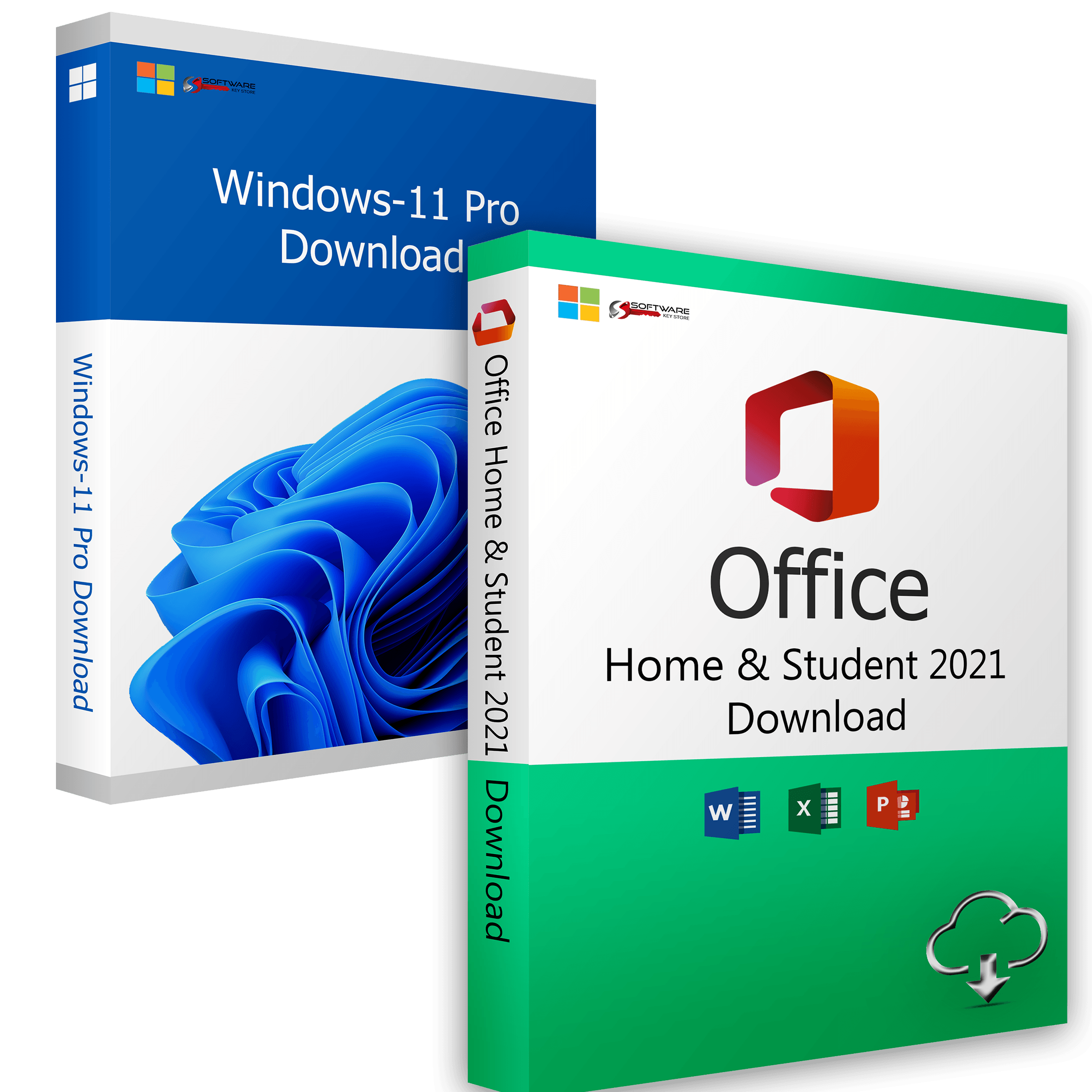 Windows 11 Professional + Office 2021 Home and Student