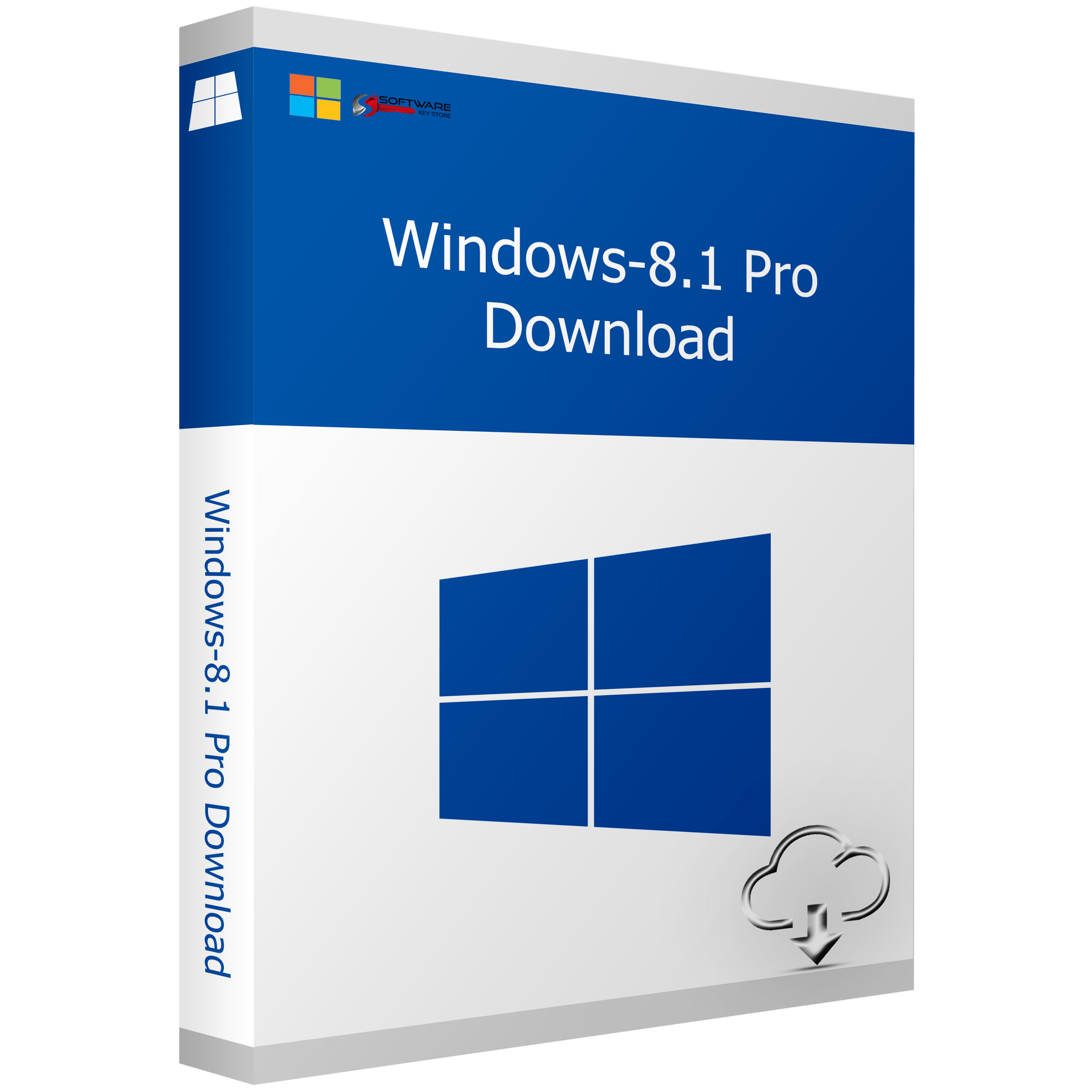 Windows 8.1 Professional