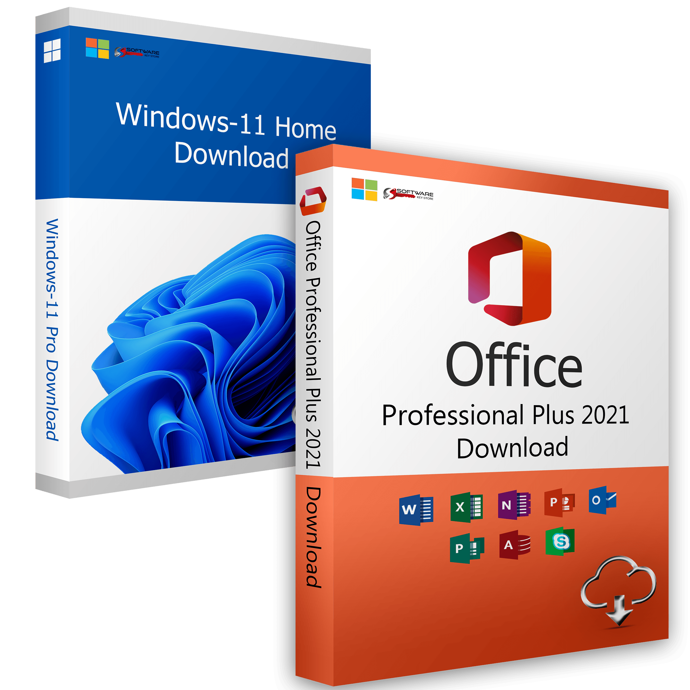 Windows 11 Home + Office 2021 Professional