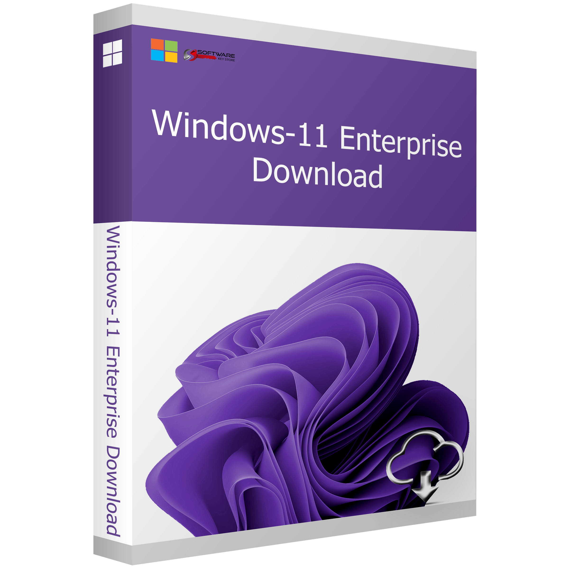 Windows 11 Enterprise