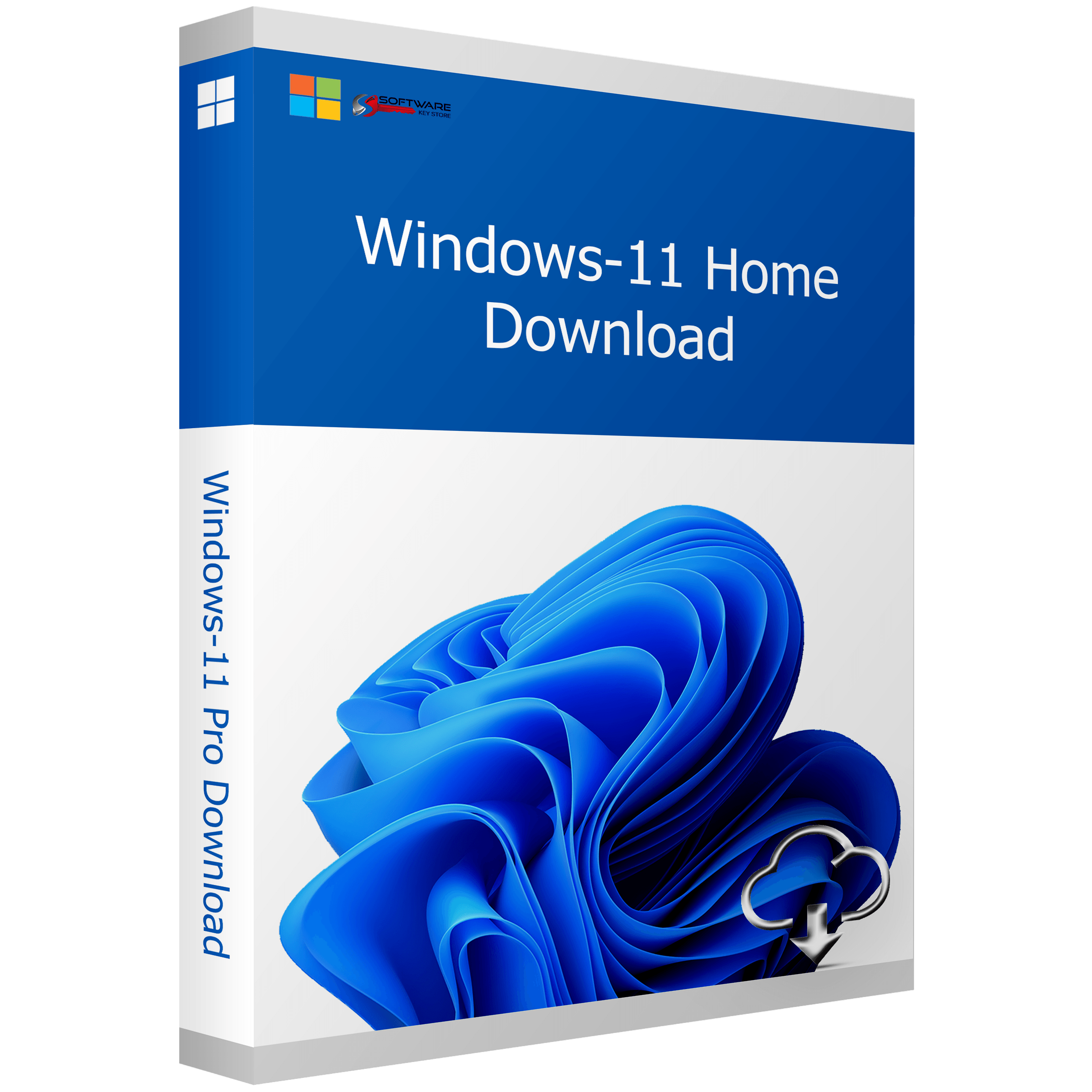 Windows 11 Home